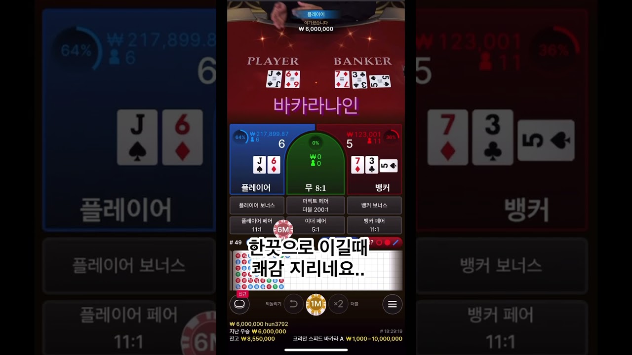 코리안딜러 바카라